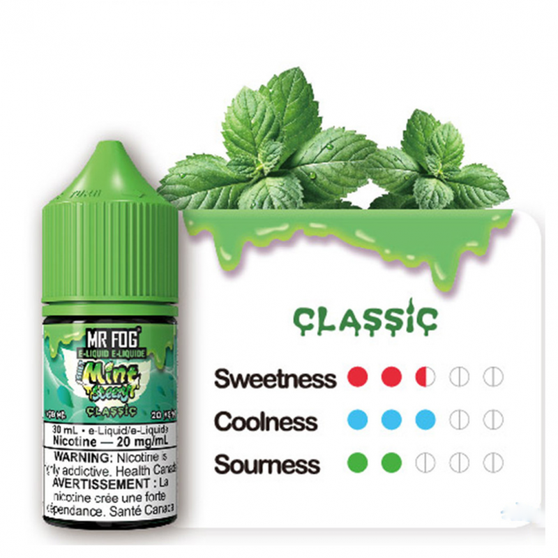 Mr Fog Salt Mint Steezy Classic 30mL