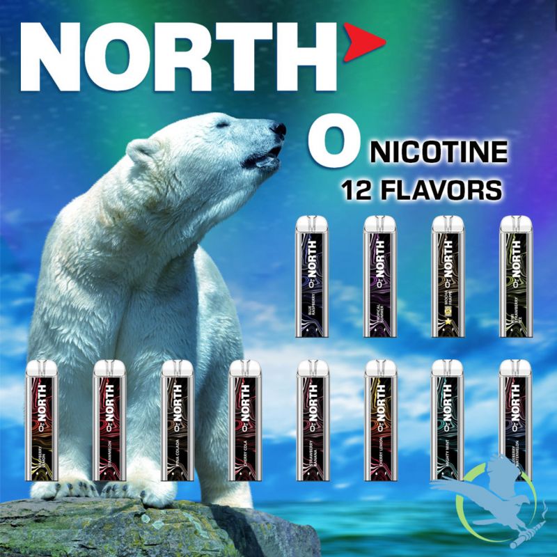 North 5K Puff 0 Nic Disposable 10mL